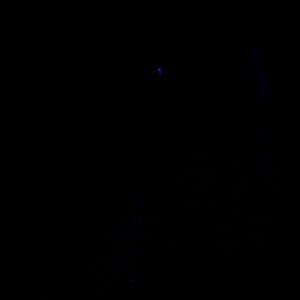 Meet your Posher, Alexah